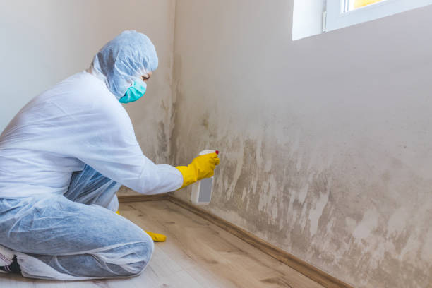 Licensed Crawl Space Mold Removal service in Norwood Young America, MN - WQB Mold Removal