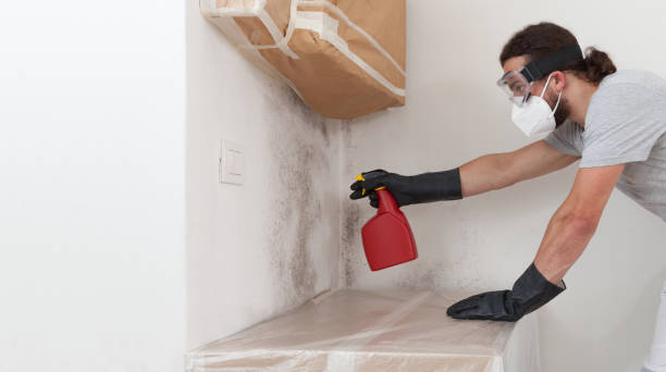 Professional Crawl Space Mold Removal technician working in Norwood Young America, MN