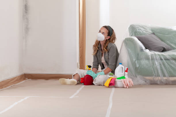 Reliable Crawl Space Mold Removal contractor in Norwood Young America, MN by WQB Mold Removal